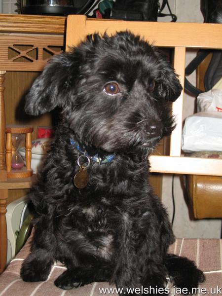 2009-12-25 19.JPG